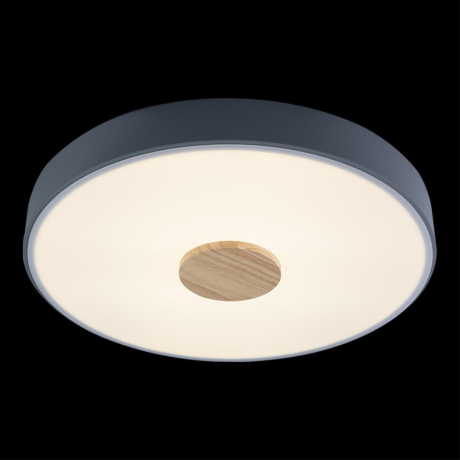 Накладной светильник Loft it Axel 2 10003/24 Grey 