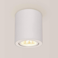 CL538111 Накладной поворотный точечный светильник Citilux Дюрен