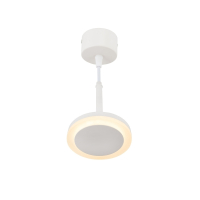 Подвесной светодиодный светильник Denkirs DK4022-WH