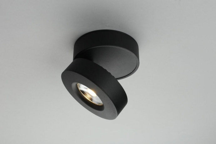 Нарушена упаковка!  <230063> OML-101919-12 Потолочный светильник Omnilux Borgetto 