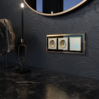 Выключатель двухклавишный сенсорный с управлением по Wi-Fi (шампань) Werkel W4520611