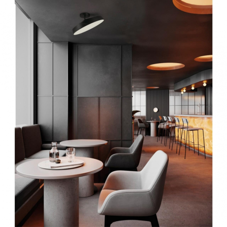 Светильник на штанге Sonex Mira Black 7656/12L 