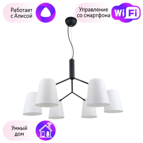 Подвесная люстра F-Promo Trick с поддержкой Алиса 2762-6P-A 
