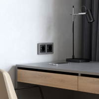 Рамка на 2 поста Werkel Acrylic (графит) W0022704