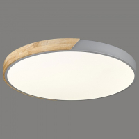 Потолочный светильник с пультом ДУ Velante 445-267-01