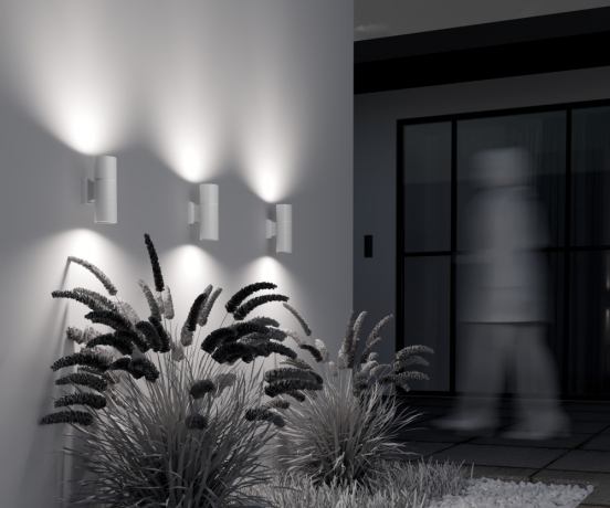 Светильник на штанге Maytoni Outdoor Bowery O583WL-02W 