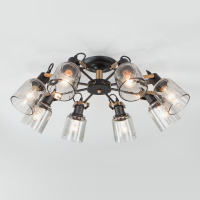 Потолочная люстра Eurosvet Astor 70111/8 черный (a047619)