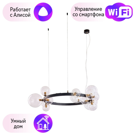 Подвесная люстра Arte Lamp Vincent с поддержкой Алиса A7790SP-15BK-A 