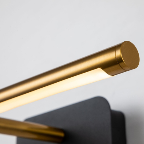 Настенный светильник Favourite Insight 4016-1W 