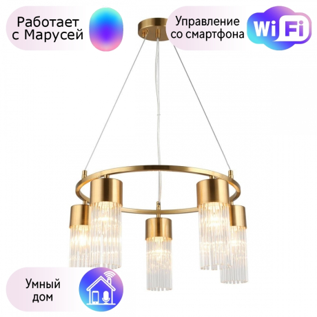 Люстра с поддержкой Маруси подвесная Omnilux OML-67103-05-M 