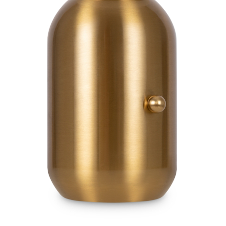 Настольная лампа декоративная Freya Cherie FR5287TL-01BS 