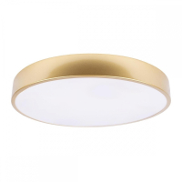 Потолочный светодиодный светильник Loft IT Flims 10228/A