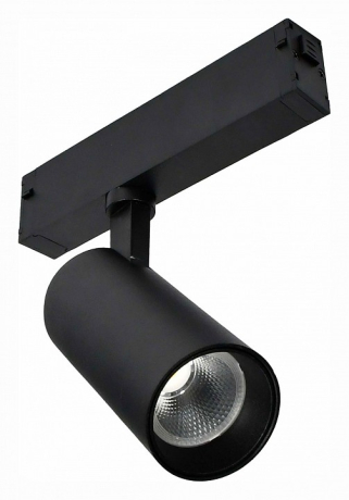 Светильник на штанге ST-Luce Skyline 220 ST660.436.10 