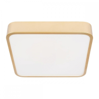 Потолочный светодиодный светильник Loft IT Flims 10228/C