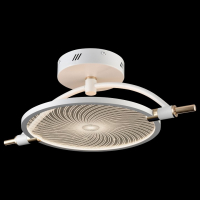 Потолочный светильник Wertmark Laura WE430.01.007