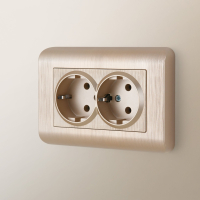 Розетка двойная с заземлением (шампань рифленый) Werkel W1172010