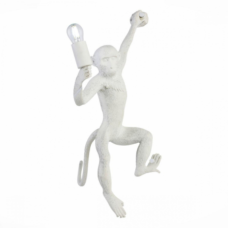 Светильник настенный обезьянка Evoluce TENATO SLE115111-01 