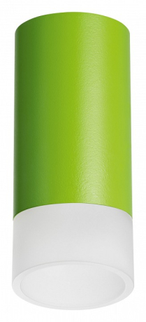 Накладной светильник Lightstar Rullo R43431 