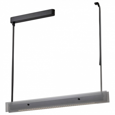 Светильник на штанге Wertmark Kuno WE435.10.023 