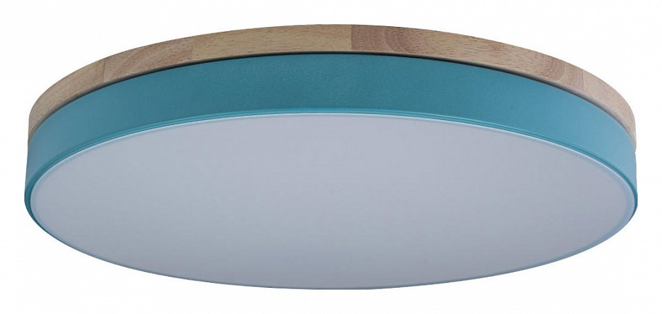 Накладной светильник Loft it Axel 10001/36 Blue 