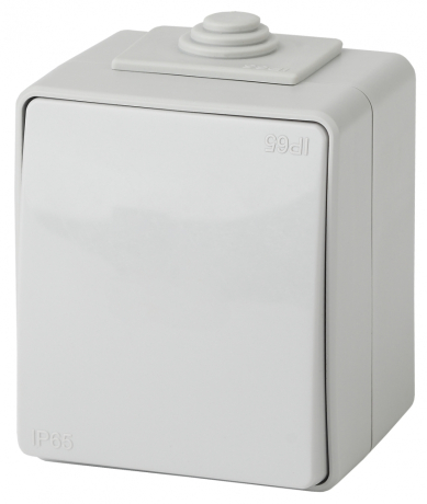 Выключатель одноклавишный ЭРА Эксперт 10AX 250V IP65 11-1601-03 Б0035972
