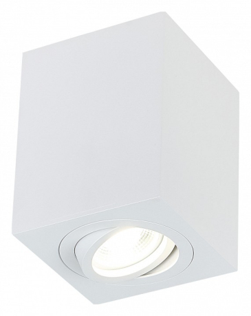 Накладной светильник SIMPLE STORY 2038 2038-1CLW 