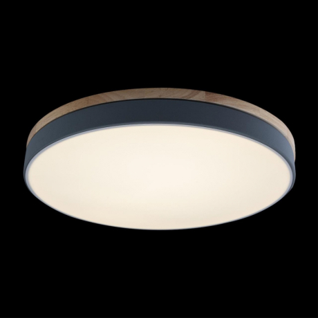 Потолочный светодиодный светильник Axel Loft It 10001/36 Grey 