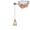 Подвесной светильник с лампочкой Favourite Copita 2777-1P+Lamps E14 P45 