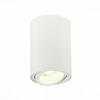 Накладной точечный поворотный светильник ST-Luce ST108.507.01