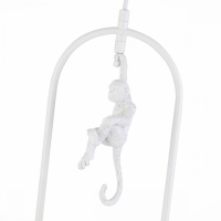 Светильник подвесной с обезьянкой Evoluce TENATO SLE115123-01