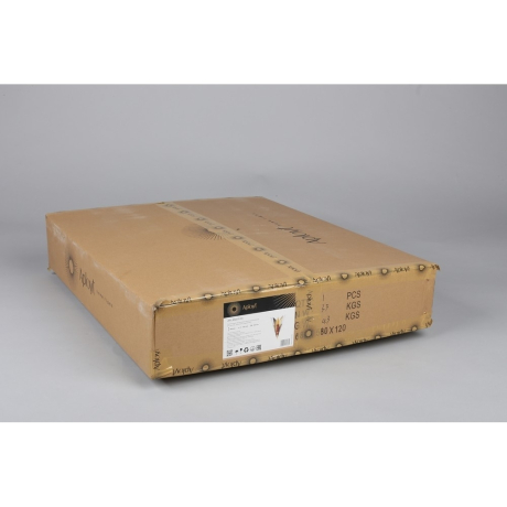 Накладной светильник Aployt Teresa APL.855.01.03 