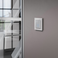 Сенсорный выключатель двухклавишный с подсветкой 1000 Вт (серебряный) Werkel W4520006