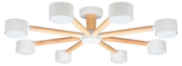 Потолочная люстра Arte Lamp TENDA A1624PL-8WH