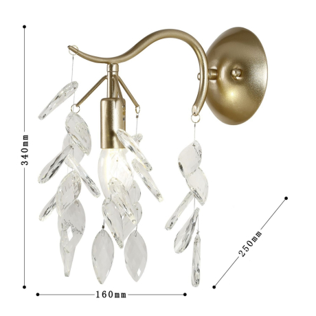 Бра Favourite Brillo 3003-1W 