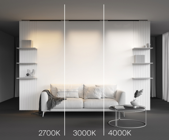 Трековый светильник Technical TR192-1-21W2.7K-B Basis 