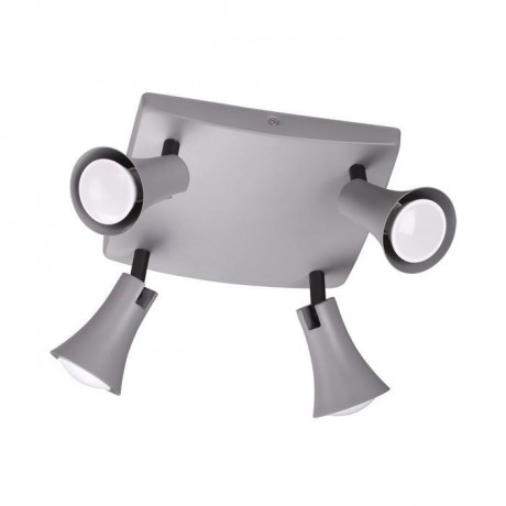 3825/4C Спот Odeon Light Reanna 