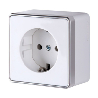 Нарушена упаковка!  <90710> Розетка с заземлением Gallant (белая) Werkel  W5071001