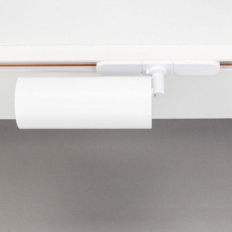 Светильник на штанге Citilux Тубус CL01T120N 