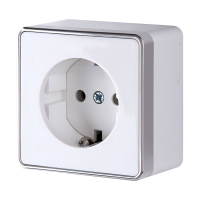 Розетка с заземлением Werkel Gallant (белая) W5071001