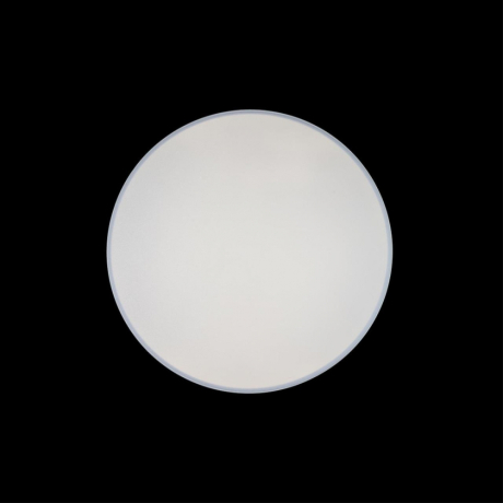 Потолочный светодиодный светильник Axel Loft It 10002/48 White 