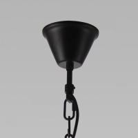 Подвесная люстра Мартин Citilux CL332132