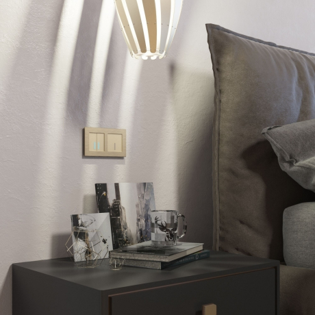 Нарушена упаковка.  <300527> Выключатель двухклавишный сенсорный с подсветкой (шампань) Werkel  W4520111 