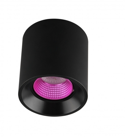 Накладной светильник Denkirs DK3090-BK+PI 