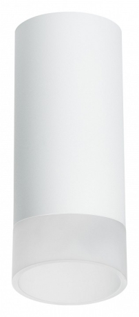 Накладной светильник Lightstar Rullo R648681 