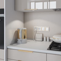 Розетка с заземлением, шторками и USBх2 (белая) Werkel W1171501