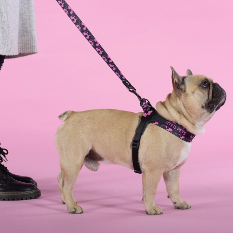 Нарушена упаковка!  <445594> Шлейка United Pets для собак Complete me Identity 1,5 x 34-42 см, черная с розовым GPCMH2210FID