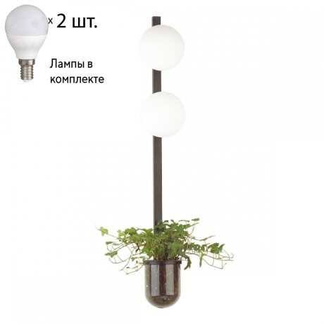 Бра с лампочками Odeon Light Flower 4681/2WA+Lamps E14 P45 