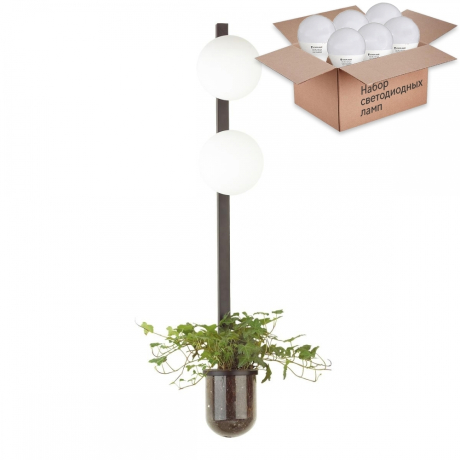 Бра с лампочками Odeon Light Flower 4681/2WA+Lamps E14 P45 