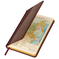 Нарушена упаковка! <199661> Ежедневник недатированный А5 138х213 мм BRAUBERG "Cayman" под кожу, 160 л., коричневый/коричневый, 125084 (125084)