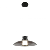 Светильник подвесной Aployt Stefa APL.648.06.10